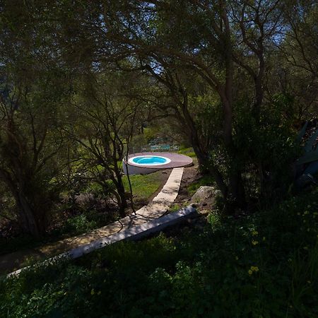 Agroturismo Suites Hacienda Los Olivos Santa Brigida  Exterior photo